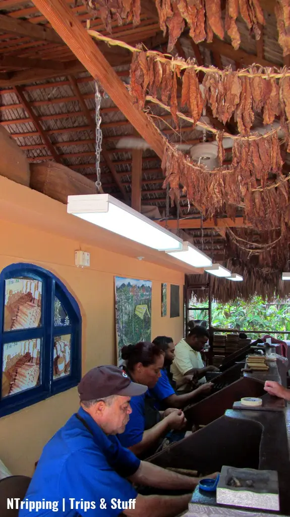 Cigars Factory