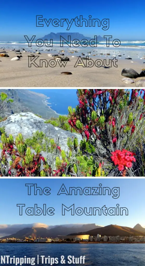 Table Mountain Pinterest