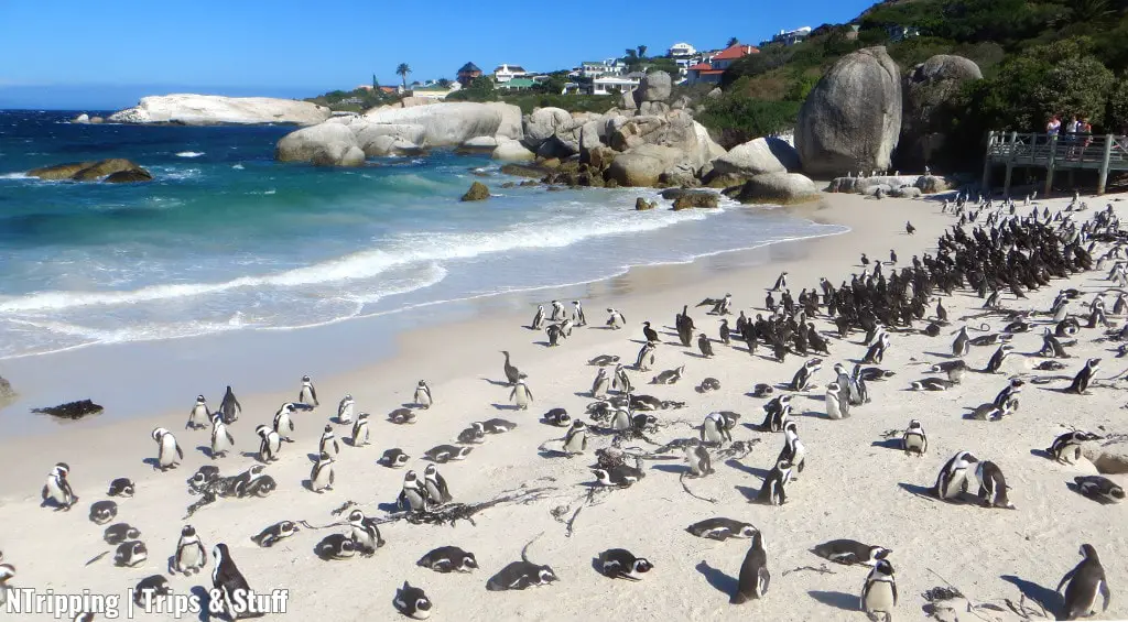 Cape Town Beaches Header