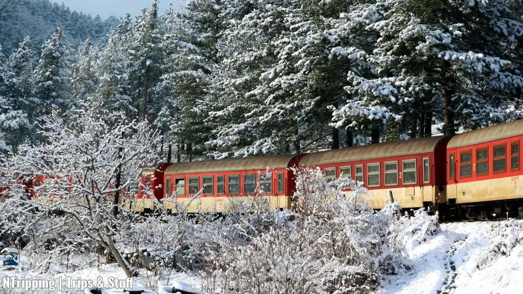 Narrow Gauge Train In Winter
