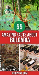 Facts About Bulgaria Pin