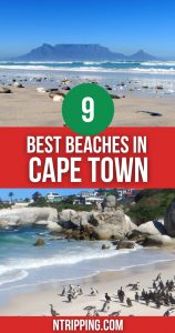 Best Cape Town Beaches Pin