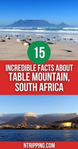 Facts About Table Mountain Cape Town Pin